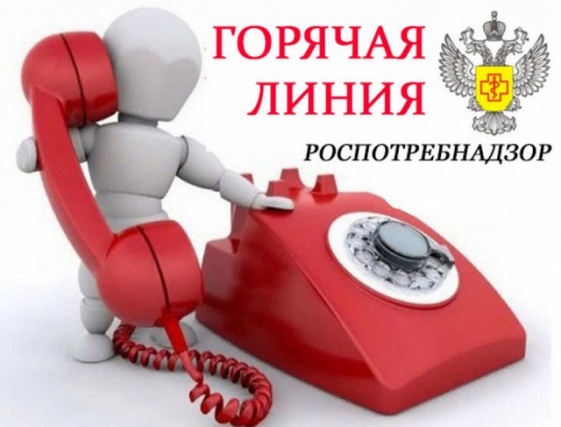 Телефоны горячей линии Телефоны горячей линии.